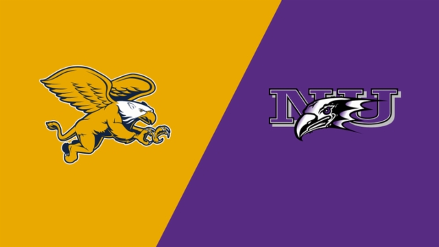 然不算高頻 然不算高頻