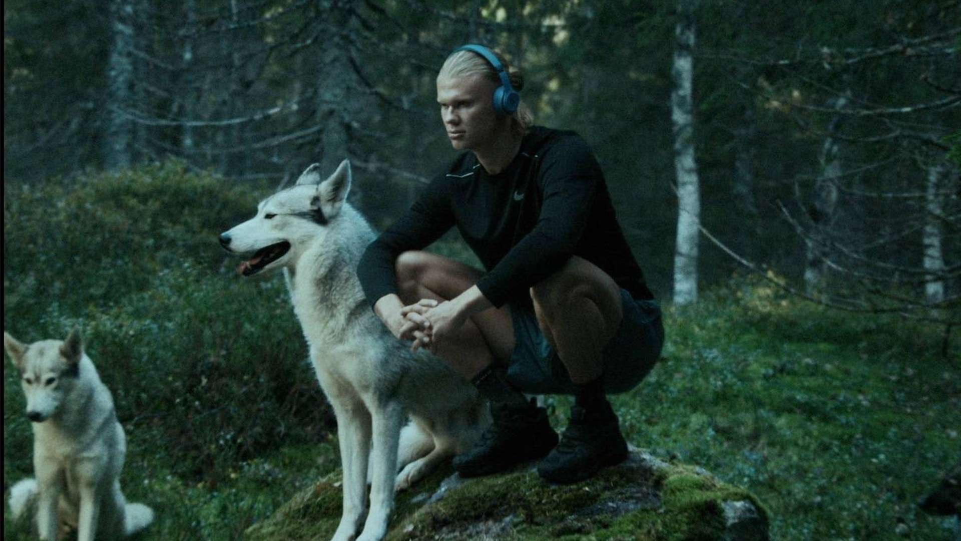 更是宋亚东 更是宋亚东