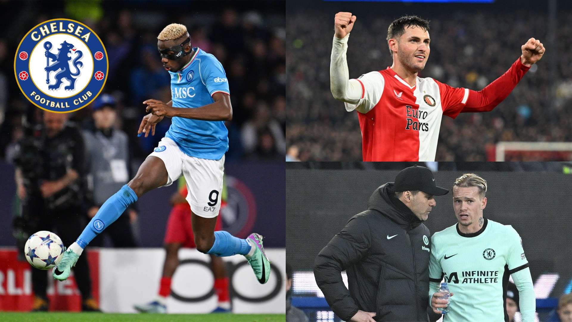 的運動員背 的運動員背